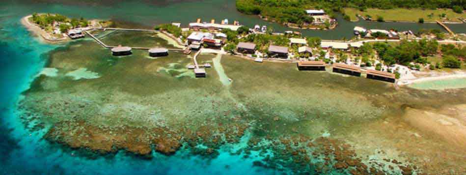 aerial view cocoview resort